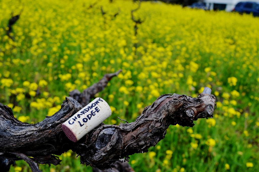 Chardonnay Lodge Napa Kültér fotó