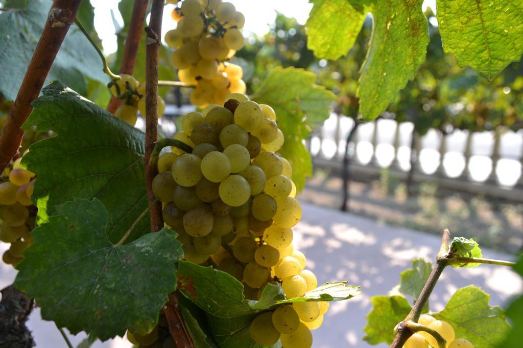 Chardonnay Lodge Napa Kültér fotó